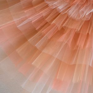 Multi Tone Net Detail - Example