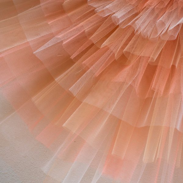 Multi Tone Net Detail - Example Multi Tone Net Detail - Example